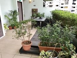 Riveria Gardens (D9), Apartment #188385222